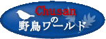 chusan�̖쒹���[���h